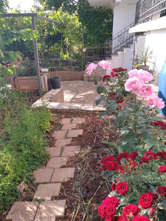 Aparttoni Dobra Voda Dış mekan fotoğraf